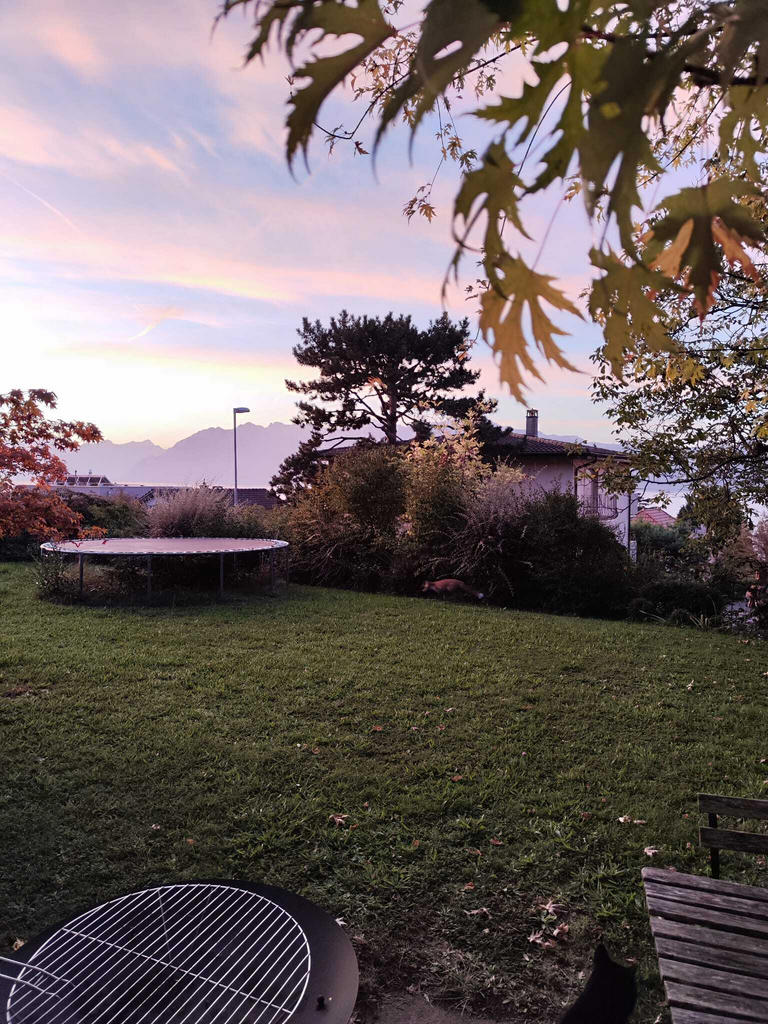 Appartement charmant de 2.5 pièces au rez-de-chaussée